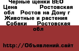 Черные щенки ВЕО › Цена ­ 5 000 - Ростовская обл., Ростов-на-Дону г. Животные и растения » Собаки   . Ростовская обл.